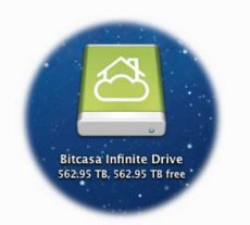 bitcasa space bitcasa space