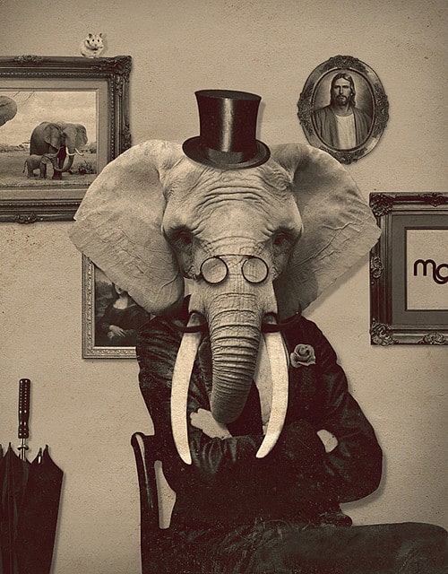 The Elephant in the Room