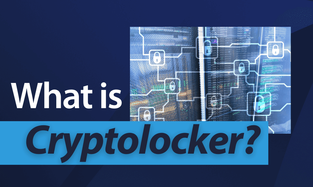 What is Cryptolocker (133)