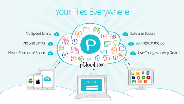 pcloud cloud storage solutions for your business