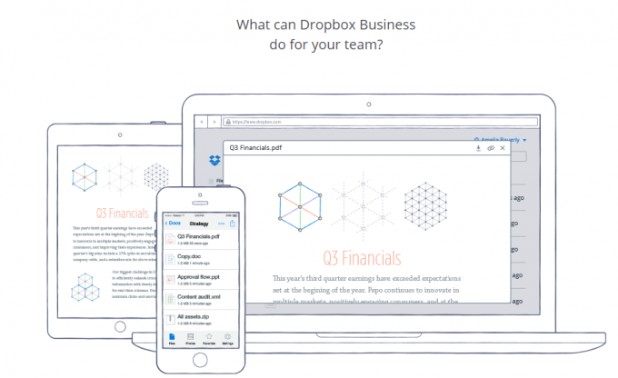 how much does dropbox cost per year how much does dropbox cost per year
