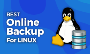 Best Cloud Backup for Linux 2021 Best Online Backup for Linux