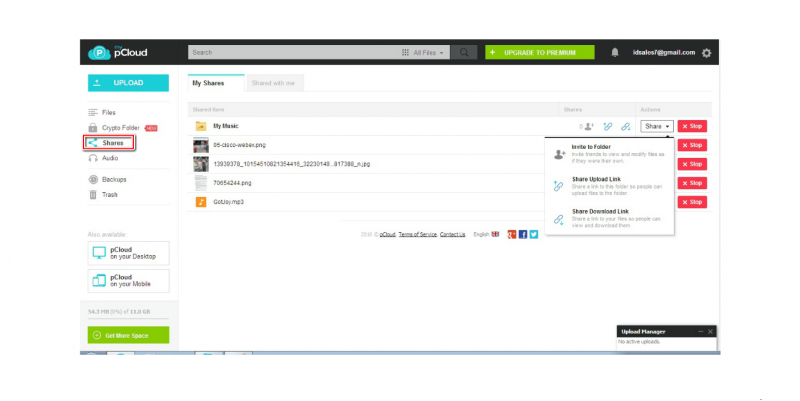 16-pcloud-shares-option