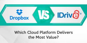 Dropbox or IDrive: Which Cloud Platform Delivers the Most Value?