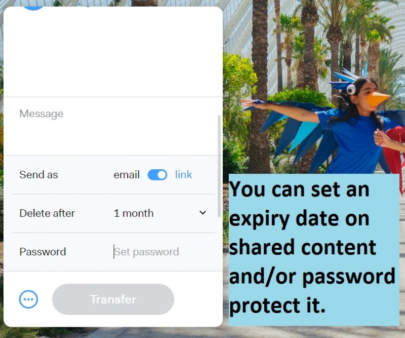 WeTransfer share options