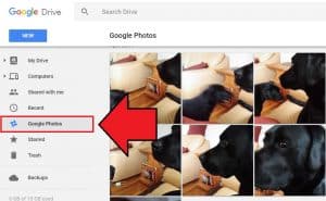 google photo recovery app google photo recovery app