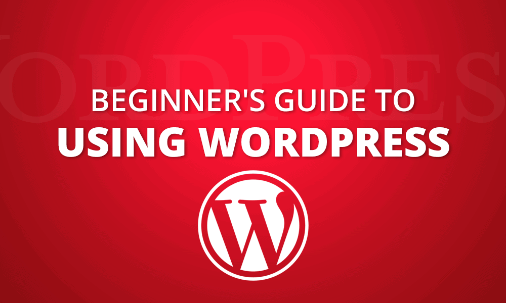 Beginner’s Guide to Using WordPress