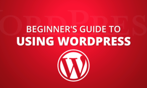 Beginner’s Guide to Using WordPress