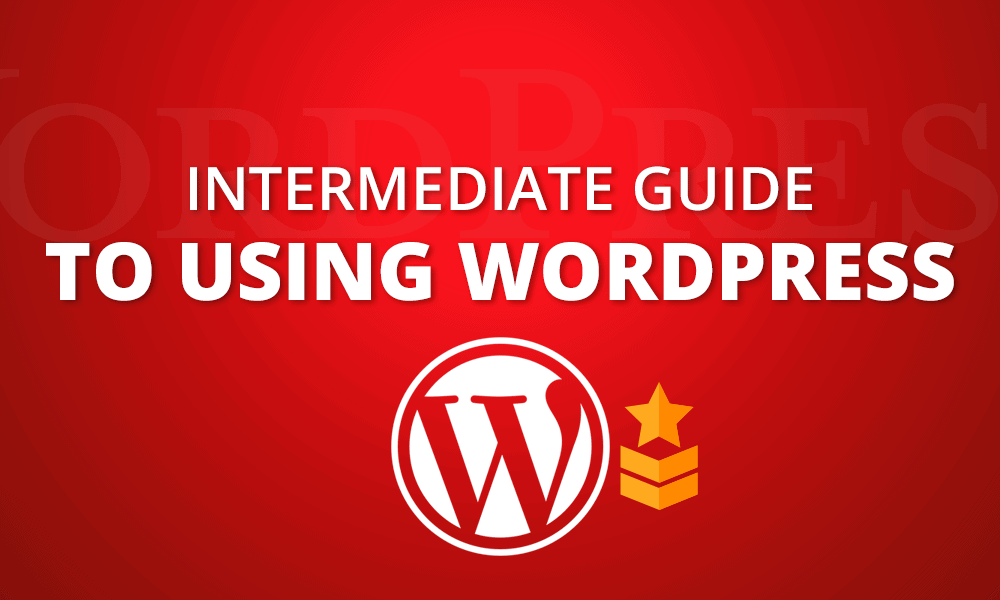 Intermediate Guide to Using WordPress