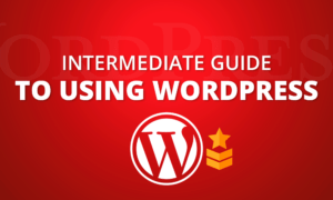 Intermediate Guide to Using WordPress