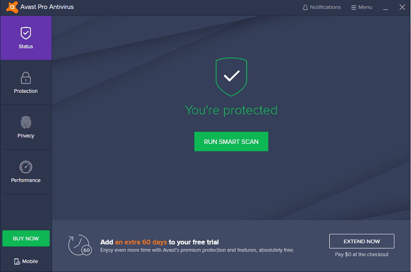 Avast Pro interface