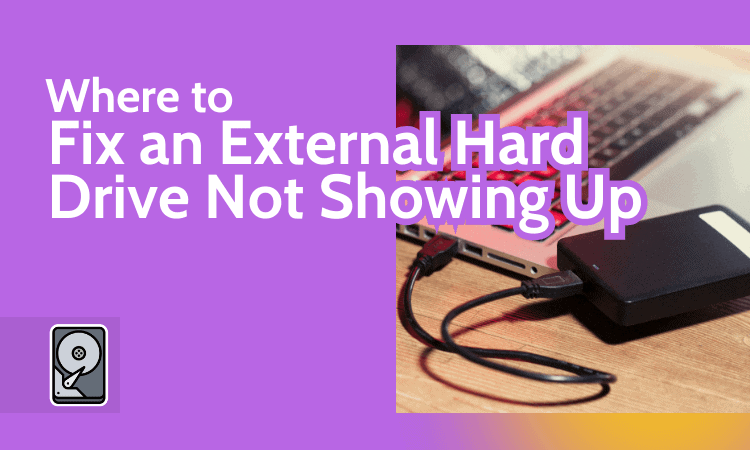 How to Fix an External Hard Drive Not Showing Up