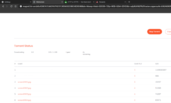 webtorrent not working webtorrent not working