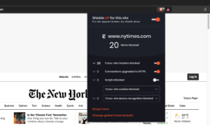 BraveShields Brave-Shields