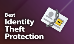Best Identity Theft Protection of 2021: Staying Safe Online Best Identity Theft Protection