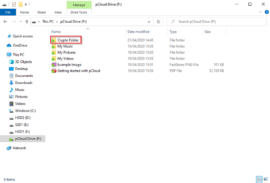 does cryptomator work with pcloud