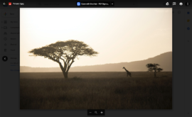 What Is Google Drive and How Does it Work? A 2021 Step-by-Step Guide