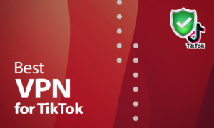 Best VPN for TikTok in 2020: Unblock the App & Secure Your Privacy best vpn for tiktok