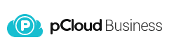 Logo: pCloud Business