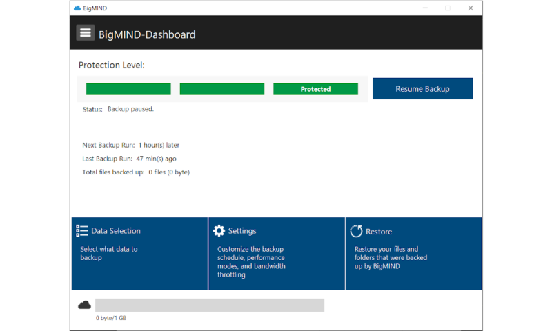 bigmind-main-panel