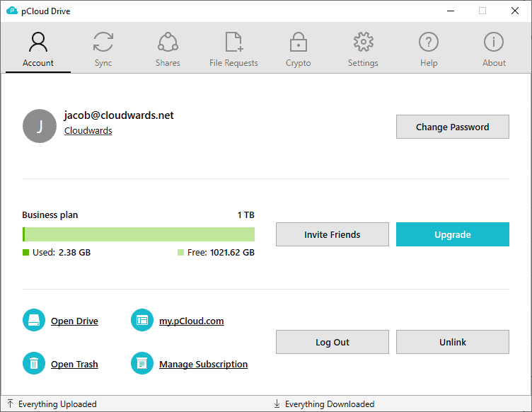 pcloud drive ruined local disk