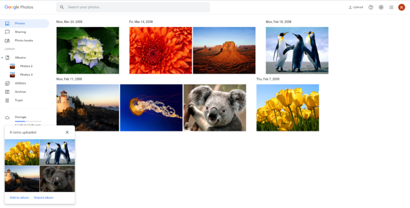 google photos duplicate detection working