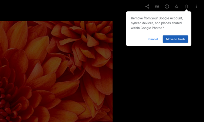 remove duplicate photos in google photos remove duplicate photos in google photos