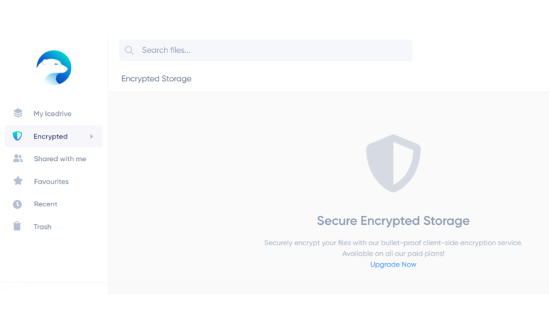 Icedrive encrypted storage