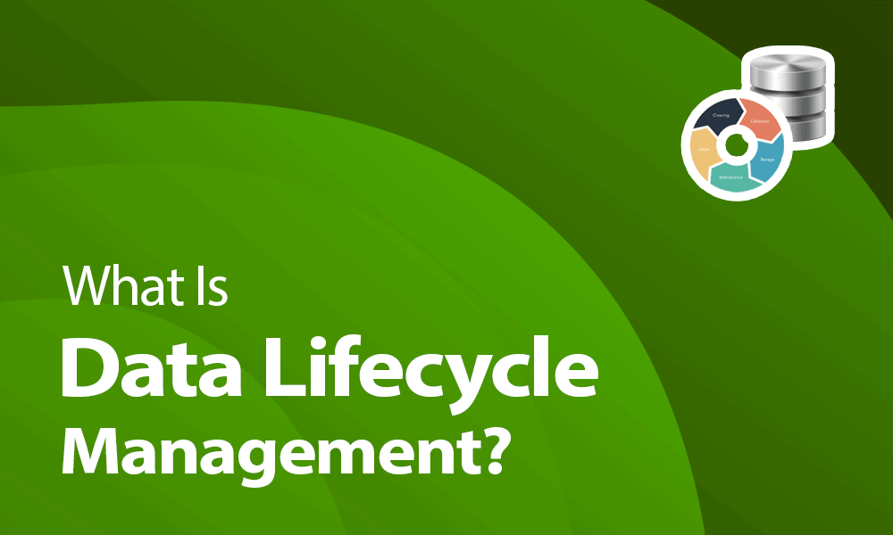 what is data lifecycle management