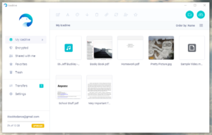 icedrive-desktop-app Icedrive desktop app