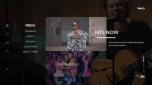 roku free channels vevo