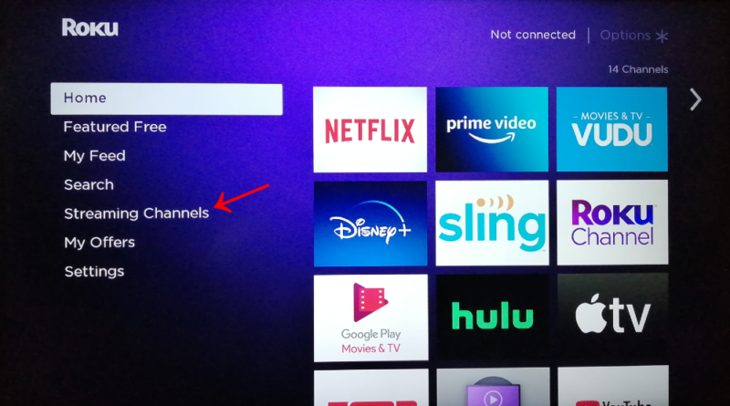 roku channel streaming channels