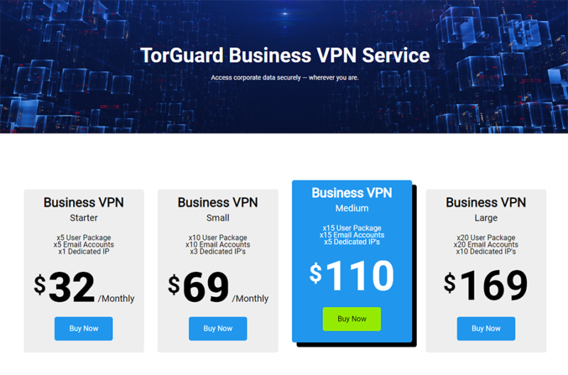 torguard vpn pricing