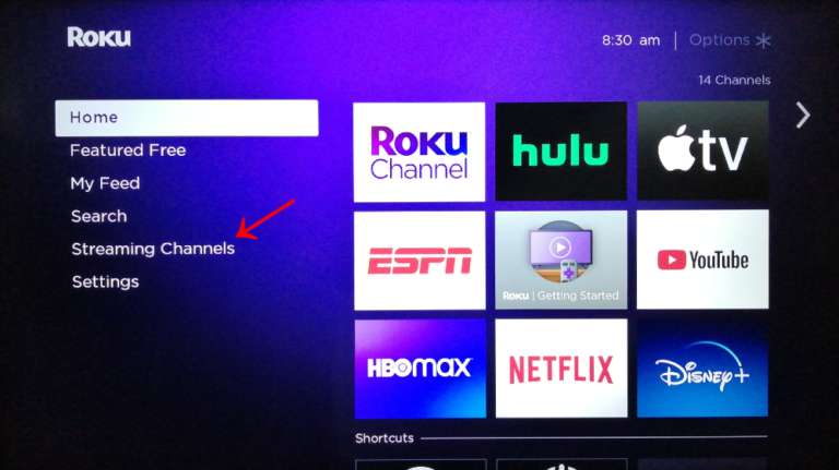 How to Use Google Play On Roku: Complete Guide in 2021 - How To Stream Movies From Phone To Roku Tv