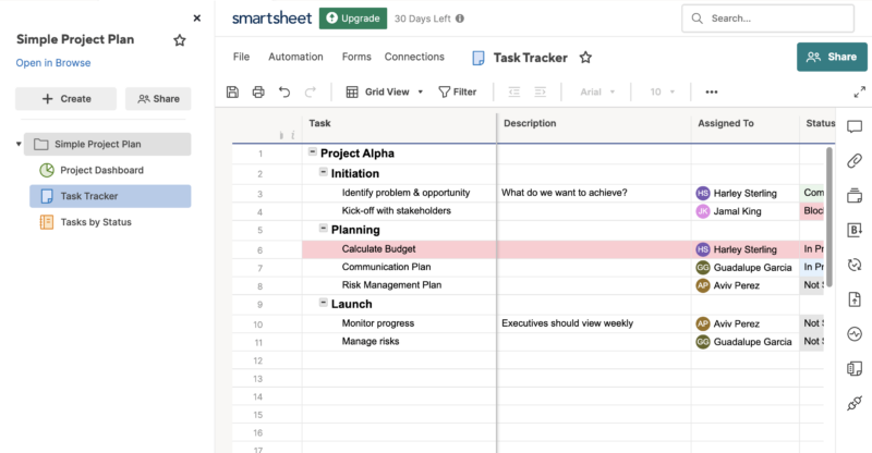 smartsheet customize project