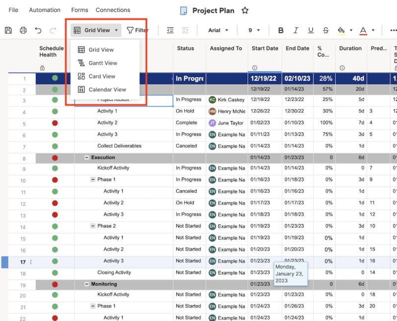 smartsheet grid view