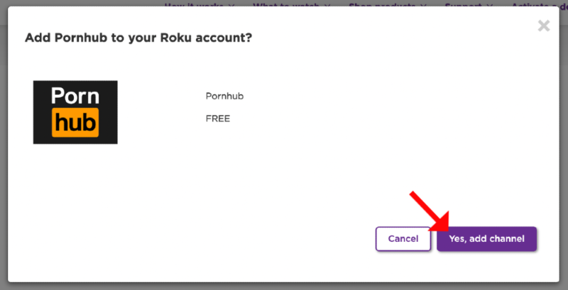 how to watch porn on roku confirm