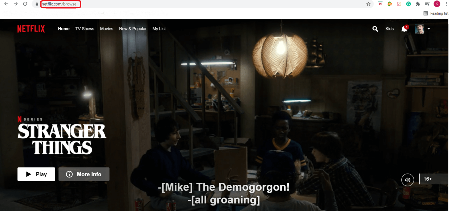How to Watch Netflix on Chromecast 2023 [Cast From Laptop & Phone]