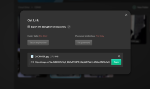 mega-sharing-encryption mega sharing encryption