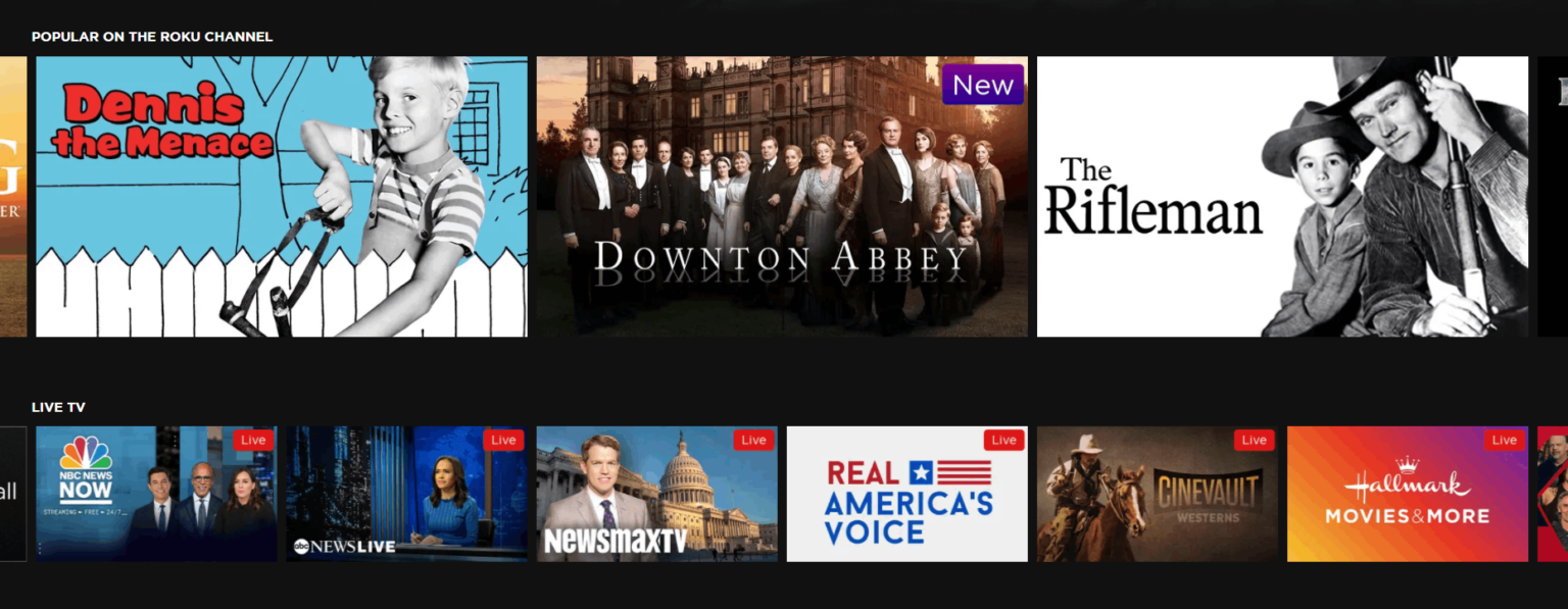 Best Fire Stick Channels in 2023 [Amazon’s Content Lineup]