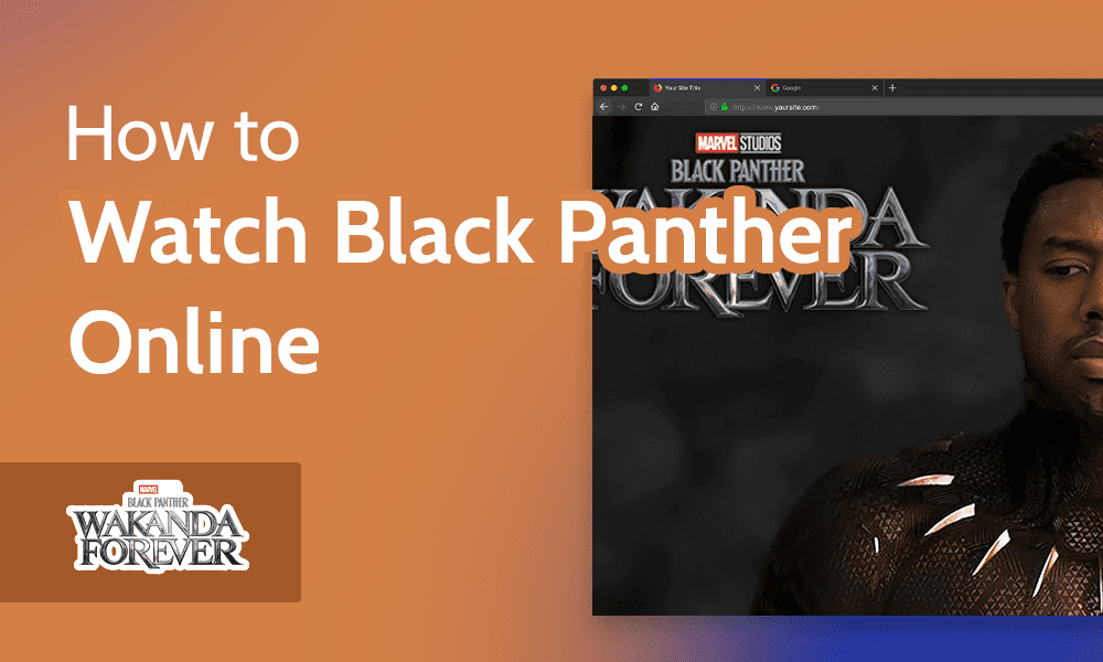 bescherming Stam Misbruik How & Where to Watch Black Panther Online With a VPN in 2023