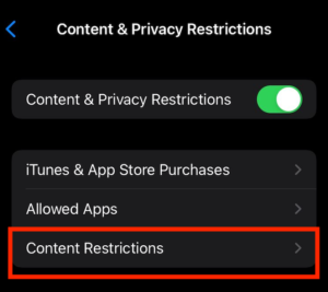 explicit-content-restrictions explicit content restrictions