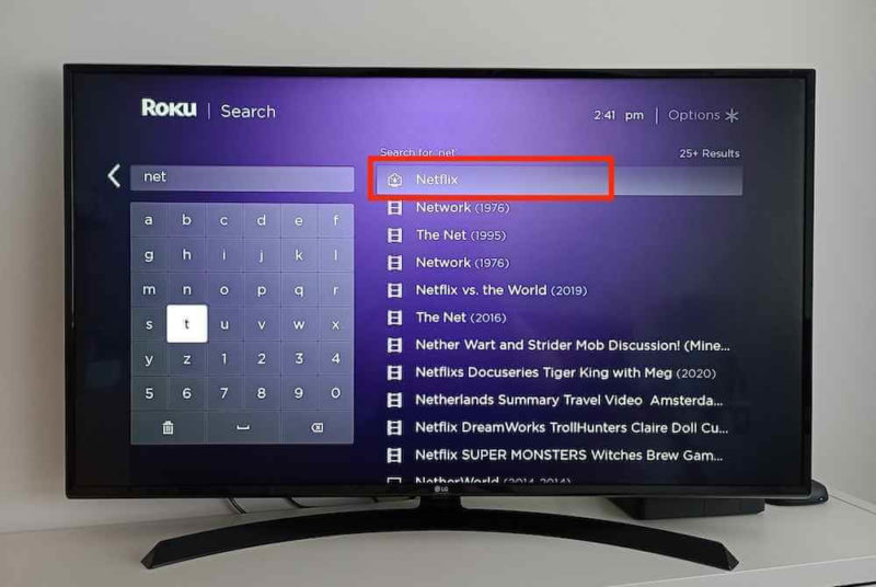 roku search netflix