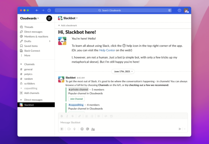 Slack messaging app