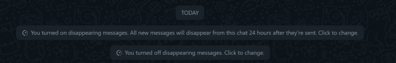 disappearing messages confirmation