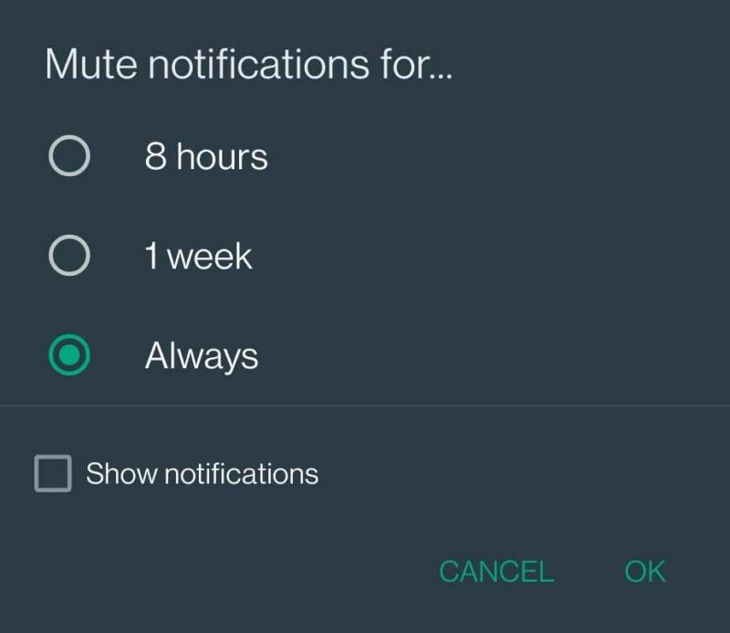 mute notifications