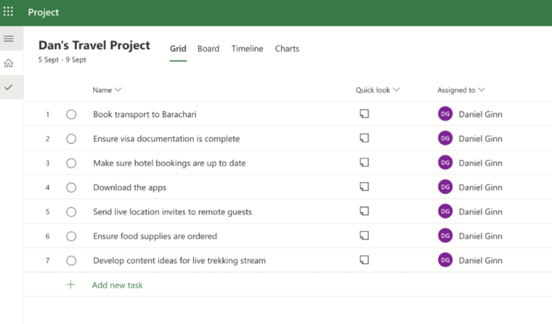 ms project grid view