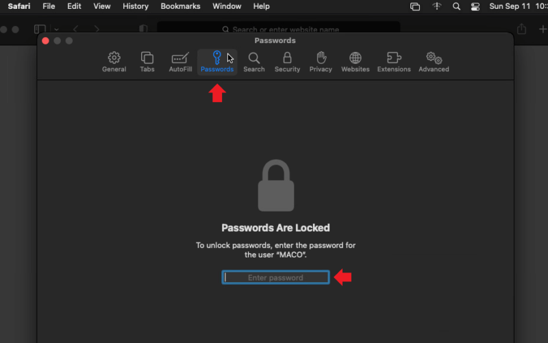 click passwords icon in safari and login