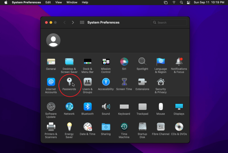 click passwords in system preferences