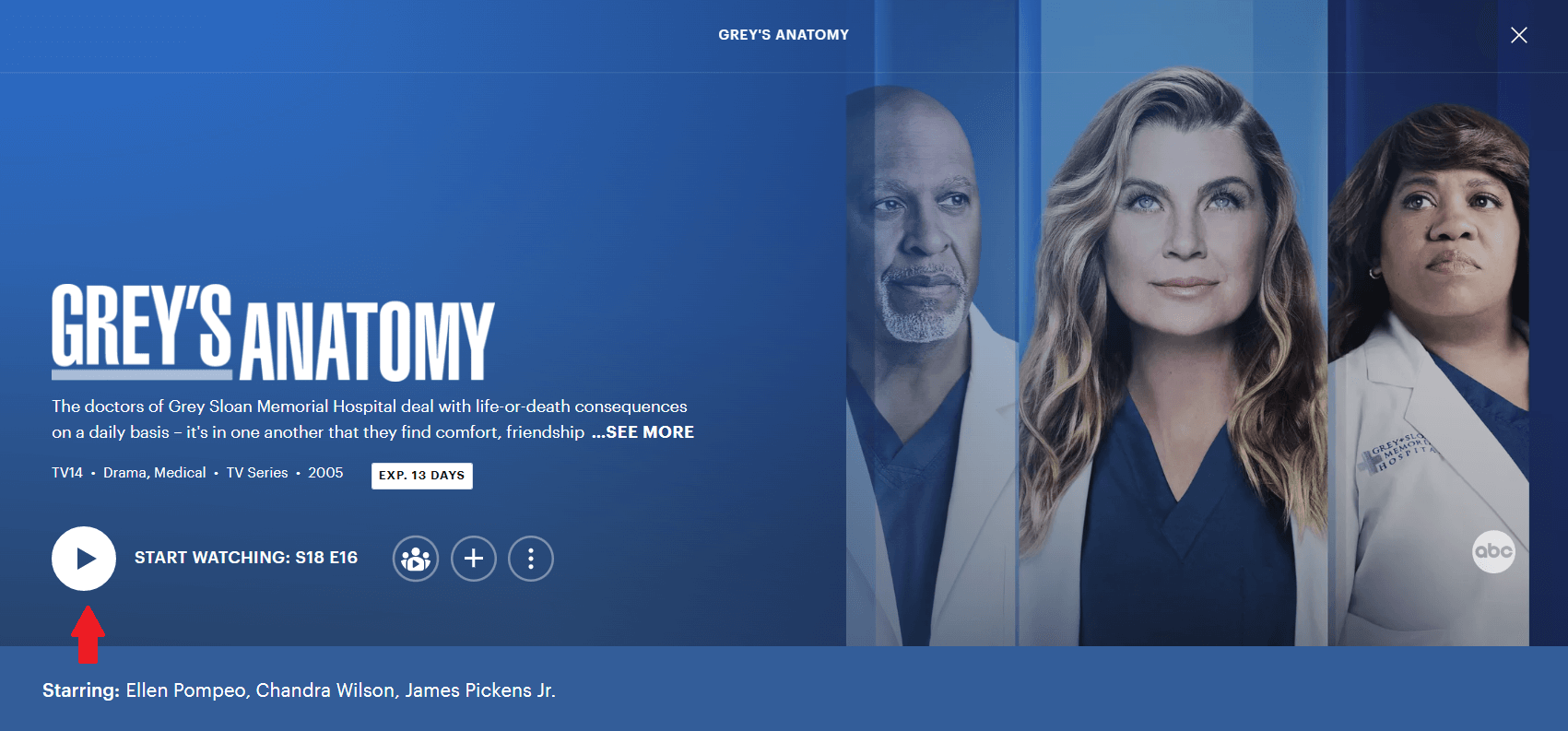 Grey's Anatomy - TV on Google Play